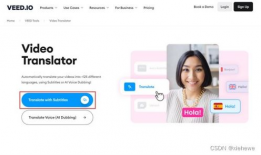 在线视频翻译,在线翻译工具如何助力跨文化交流
