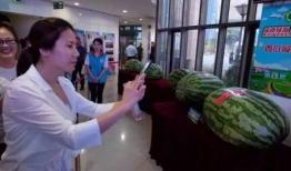 临县吃瓜事件最新爆料新闻,最新爆料揭露惊人内幕